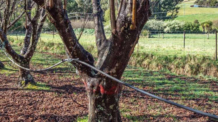 9 Harmans Track Little River_32