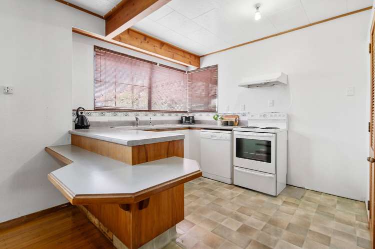 9 Nikau Street Springfield_6