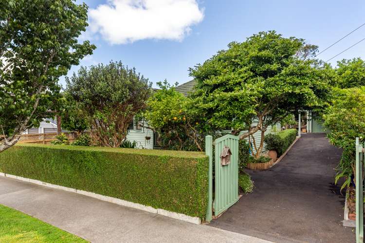 23a Martin Avenue Mount Albert_28