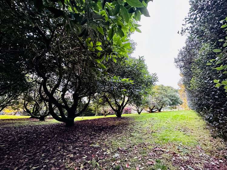 499 Wainui South Road Whakamarama_31