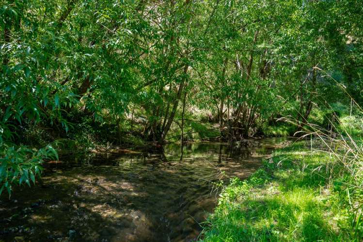 90 Te Kopi Road Gladstone_38