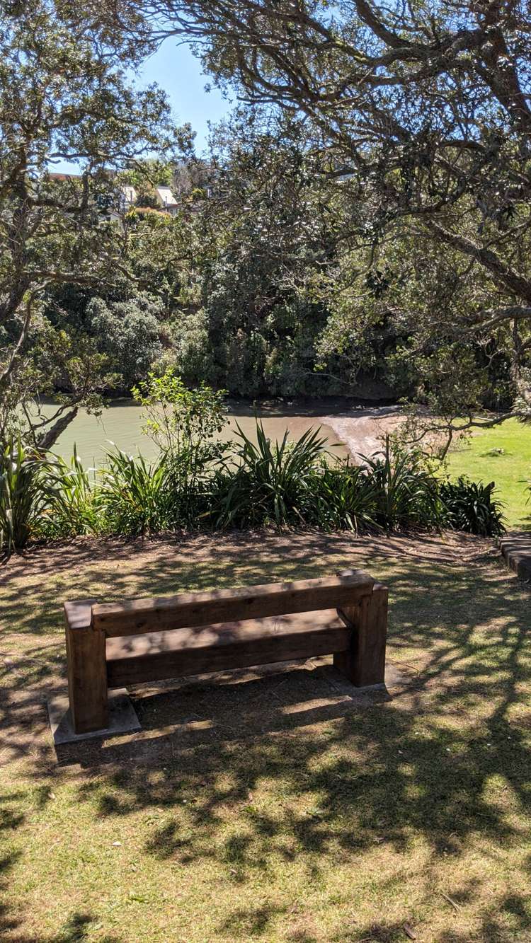 3 Poaka Place Beach Haven_31