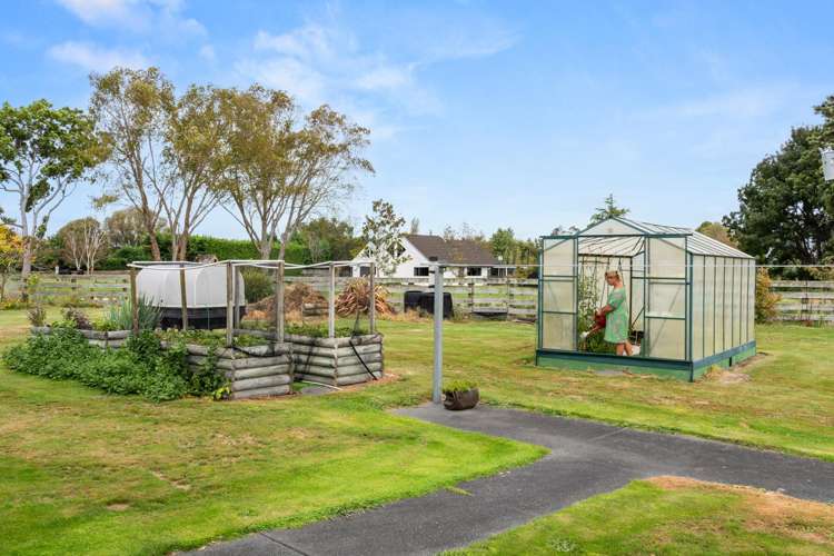 99 Hansen Road Makauri_14