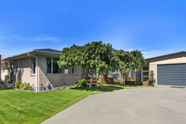 Entertain, Relax & Enjoy the Bonus Studios!