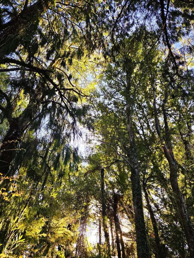 1A Sunderland Street Waimangaroa_4