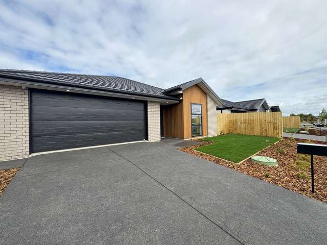 Beautiful 4 Bedroom, 2 Bathroom Home! Pet Friendly