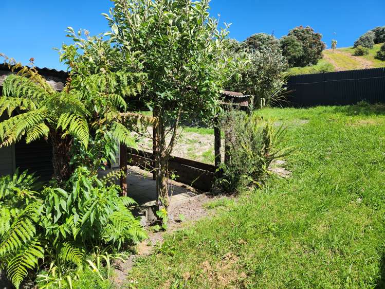 43 Cambridge Terrace Kaiti_10