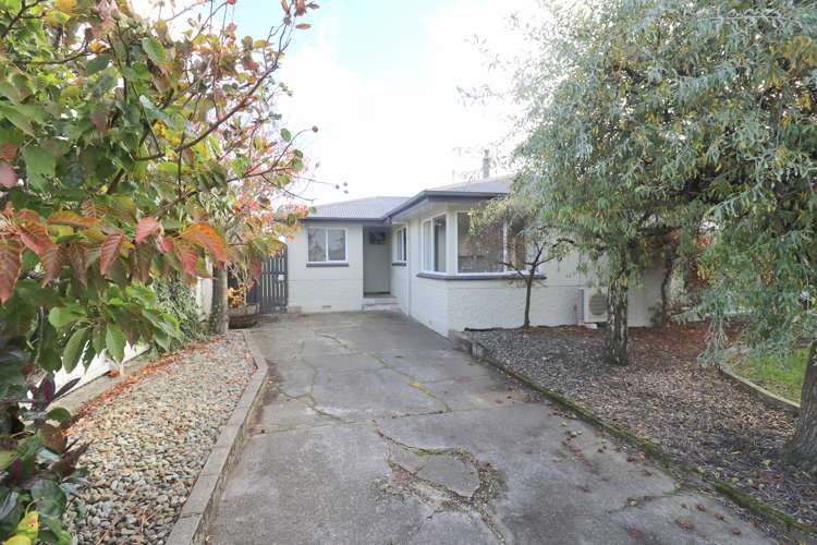 52 Ethel Street Newfield_1