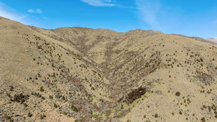 4098 Waihopai Valley Road Waihopai Valley_7