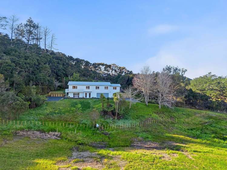 67 Haigh Access Road Dairy Flat_39