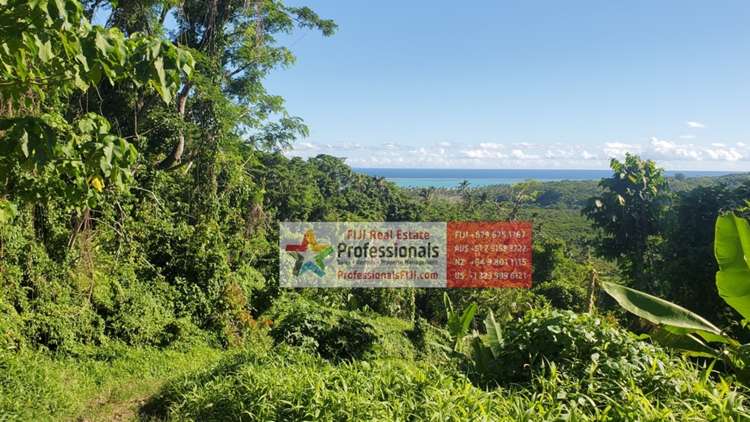 Address withheld Savusavu_31