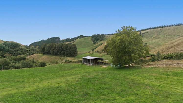 147A Pikowai Road Pikowai_19