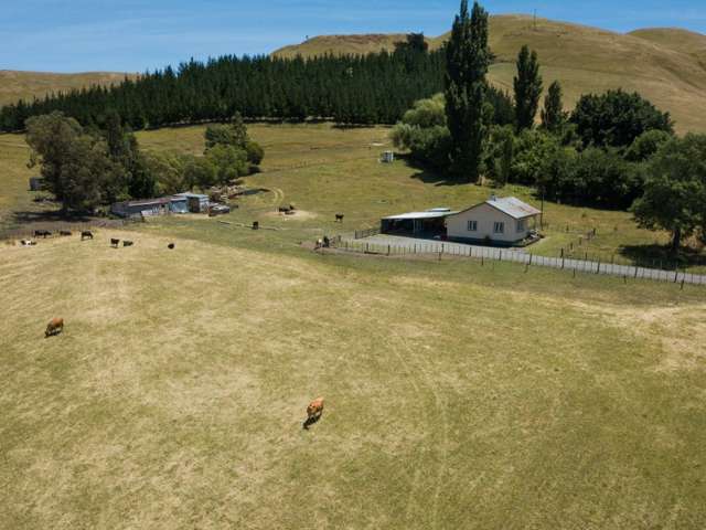 360 Valley Road Central Hawkes Bay Coastal_4