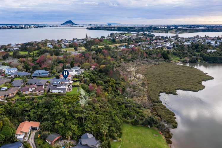 18 Curlew Close Maungatapu_19