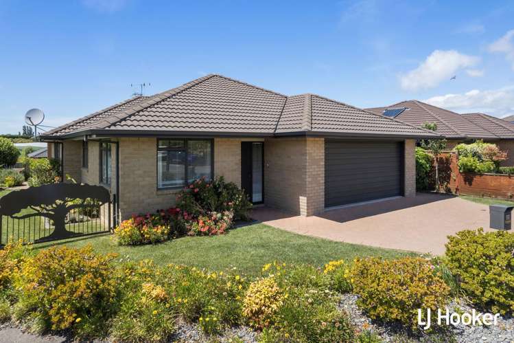 33 Malta Crescent Katikati_13