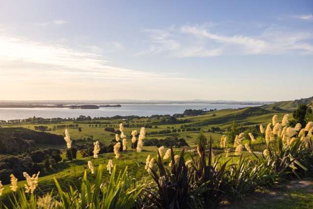 105A Rawson Road Te Kauwhata_3