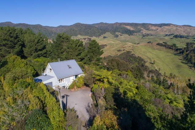 238 No 1 Line Pohangina Valley_1