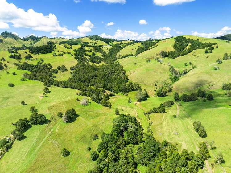 395 Tangihua Road Maungakaramea_46