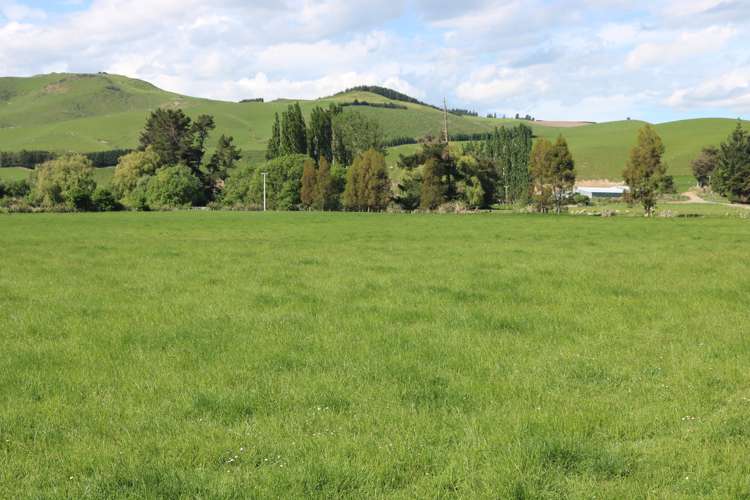 386 Otama Valley Road Gore Surrounds_14