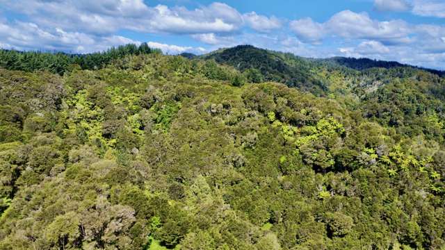 637a Awahou Road Murupara Surrounds_3