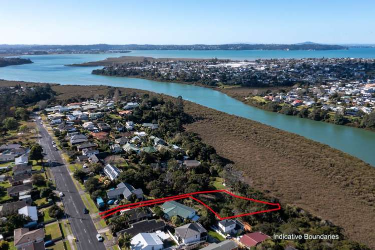 143C Colwill Road Massey_3