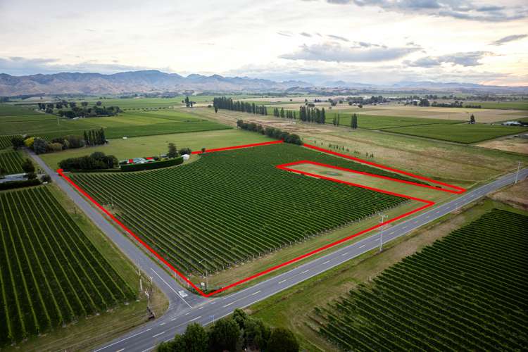 22 Burnside Avenue Springlands_2