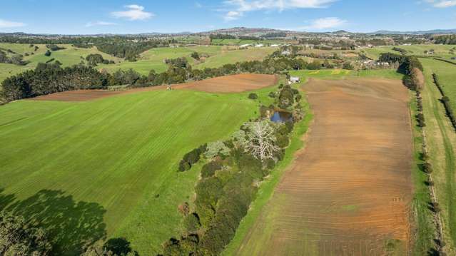 156A Schlaepfer Road Pukekohe_2