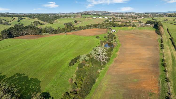 156 Schlaepfer Road Pukekohe_20