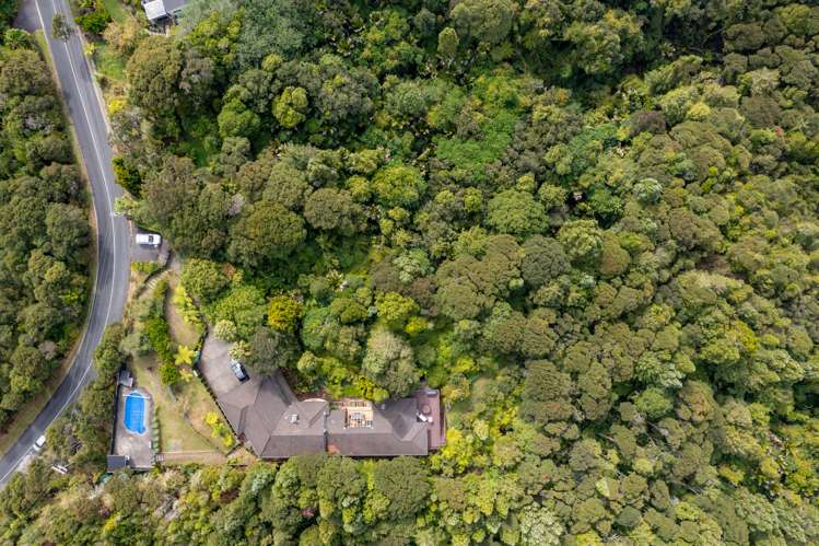 301 Wright Road Dairy Flat_19