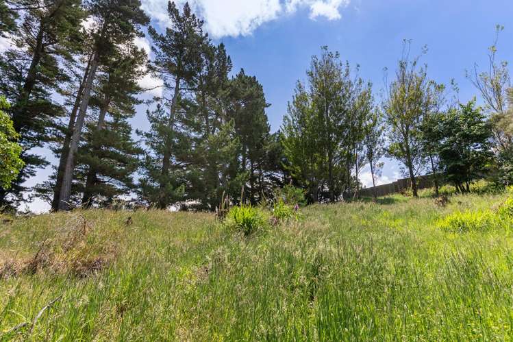 2C Kaitoke Loop Road Kaitoke_25