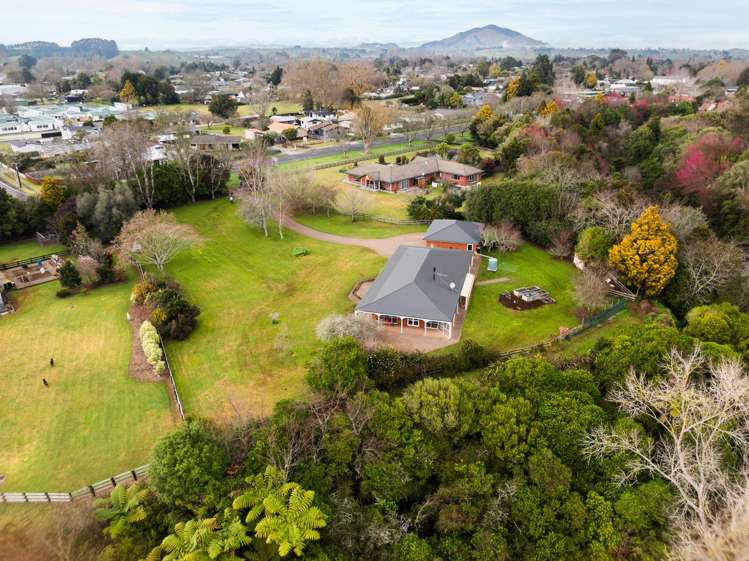 440 Franklin Street Pirongia_19