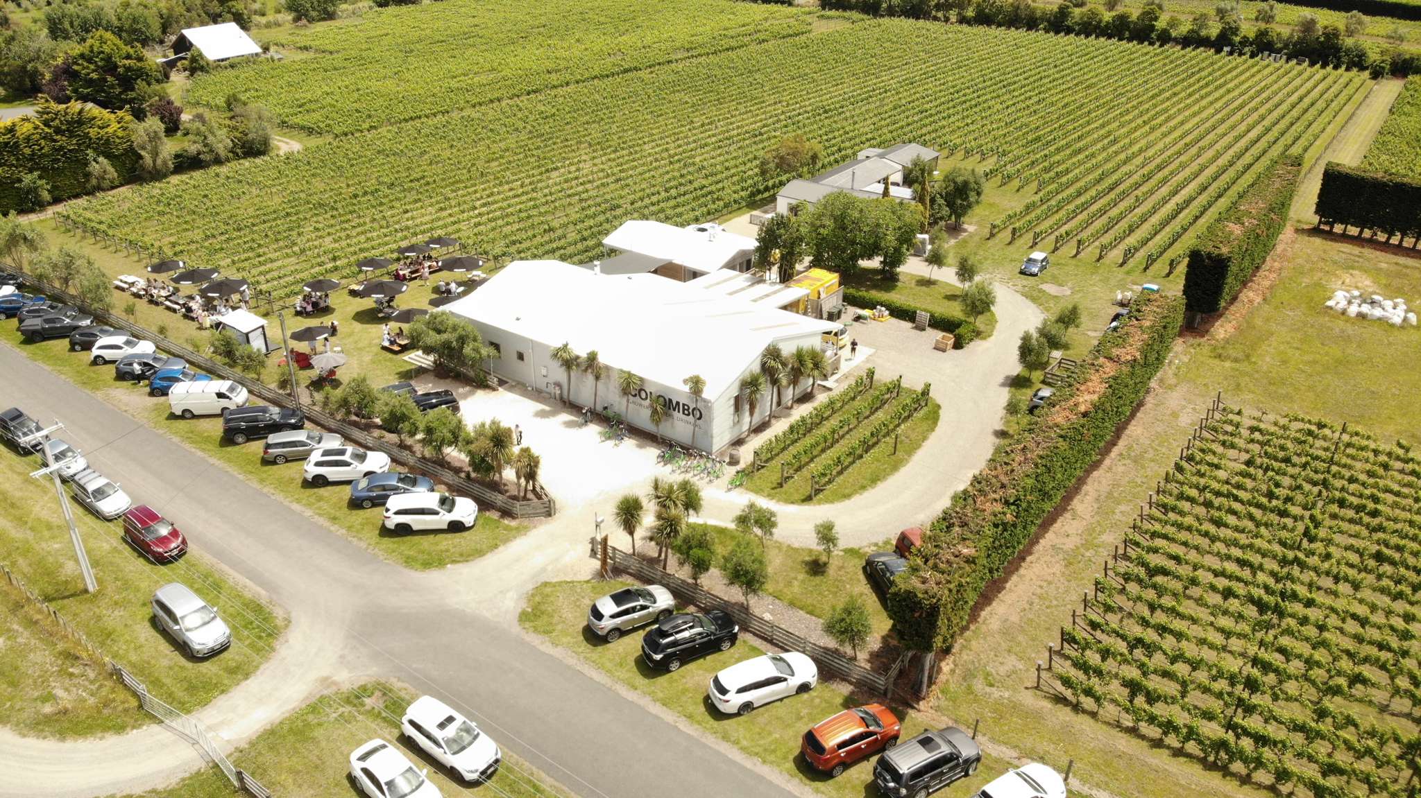 Popular Martinborough wine business for sale