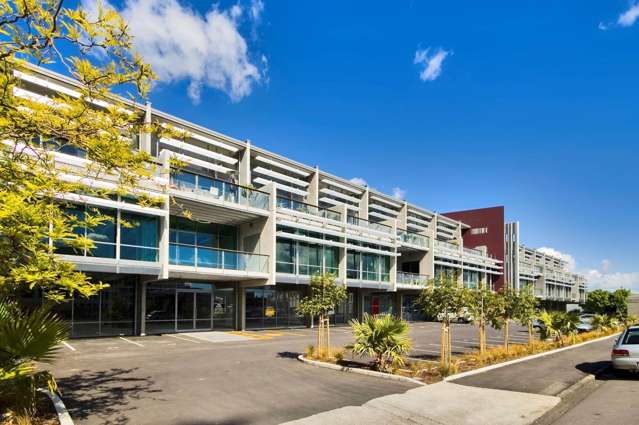Unit 101/23 Edwin Street Mt Eden_1
