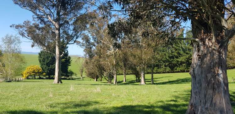 759 Adams Flat Road Balclutha_8