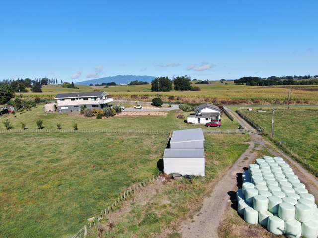 164 Bank Road Te Awamutu_2