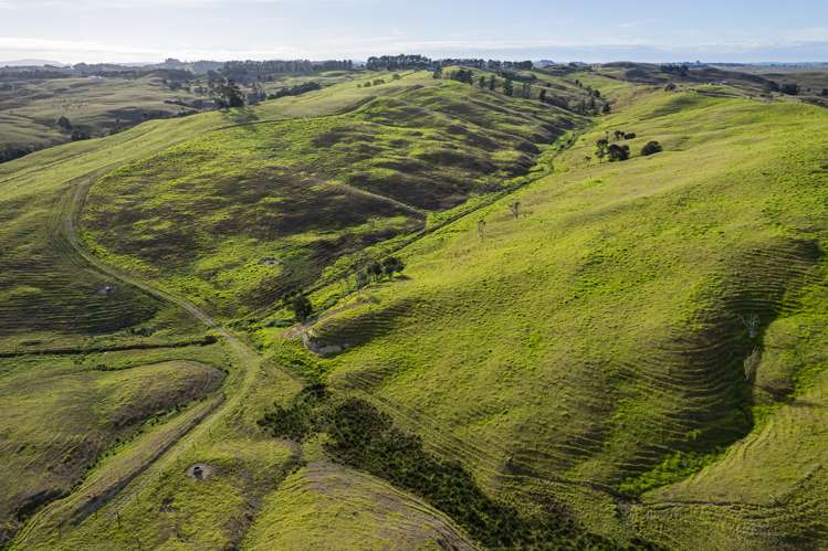 Parahi Road Ruawai_15