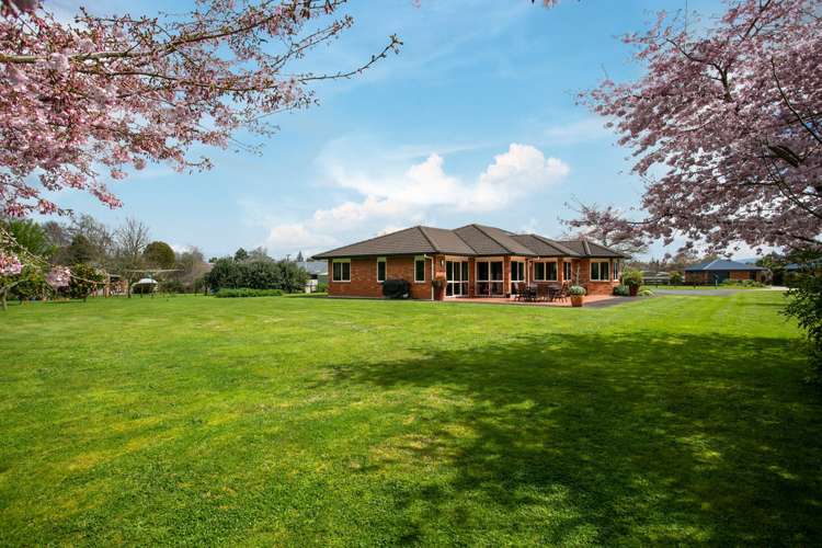 4/102 Herbert Street Kihikihi_18