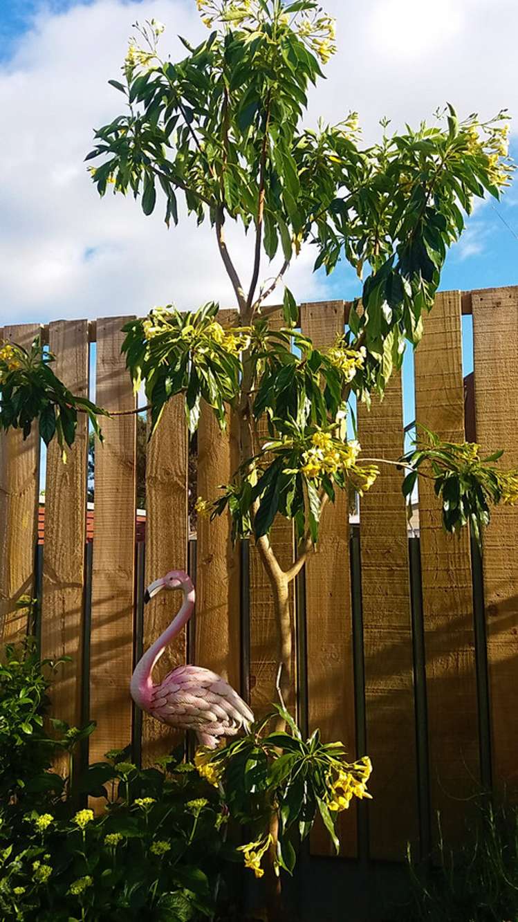 6 Kerei Street Motueka_14