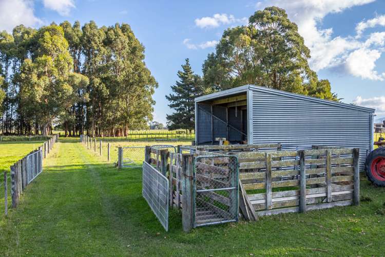 19 Matahiwi Road Matahiwi_16