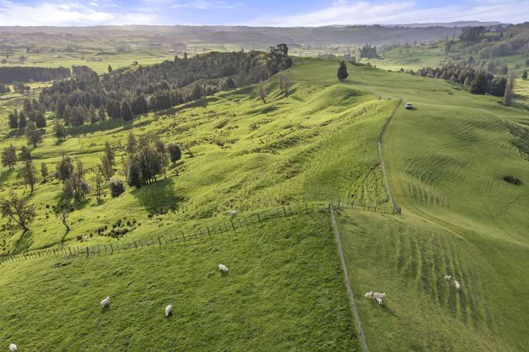 Mangatea Road Te Kuiti_22