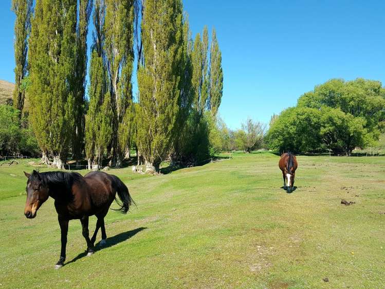 155 Heaney Road Cromwell_9