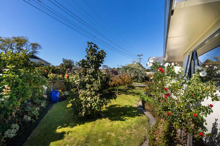 140 Carrington Street Lower Vogeltown_15
