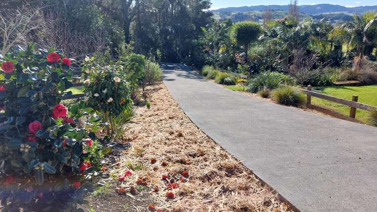 39 Gorge Road Maungaturoto_2