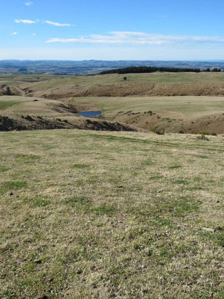 649 Kauru Hill Road Five Forks and Surrounds_24