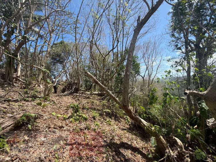 Address withheld Savusavu_17