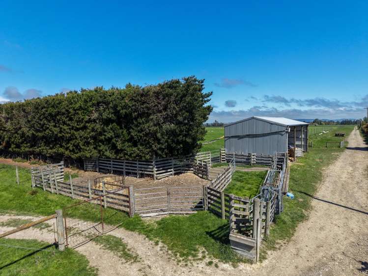 351 Loburn Kowai Road Loburn_3