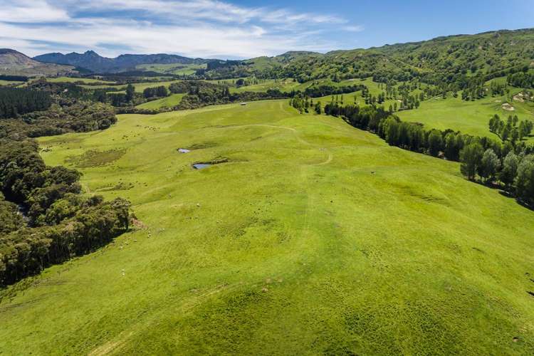 1127 Glenross Waiwhare_9