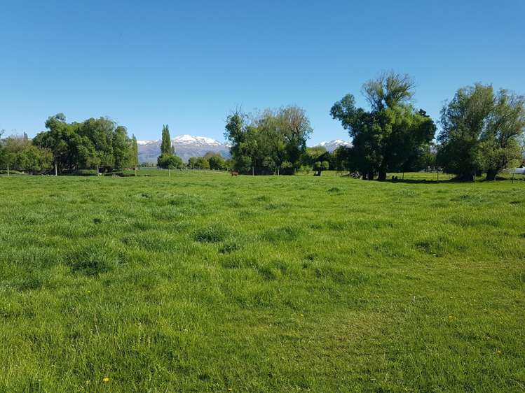 18 Nixons Road Fairlie_20