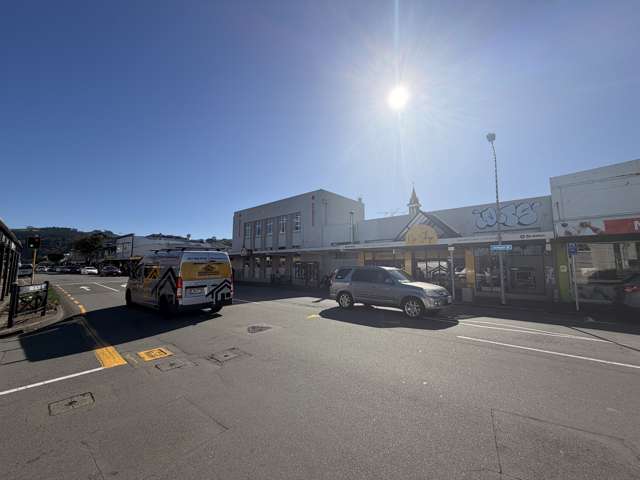 205 Jackson Street Petone_1