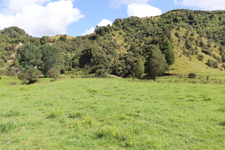 1 Waitaanga Road Ahititi_28